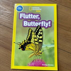 National Geographic Flutter, Butterfly! Book - Yellow Cover